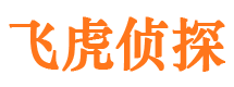 安岳市私家侦探